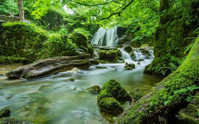 高质量绿色高效